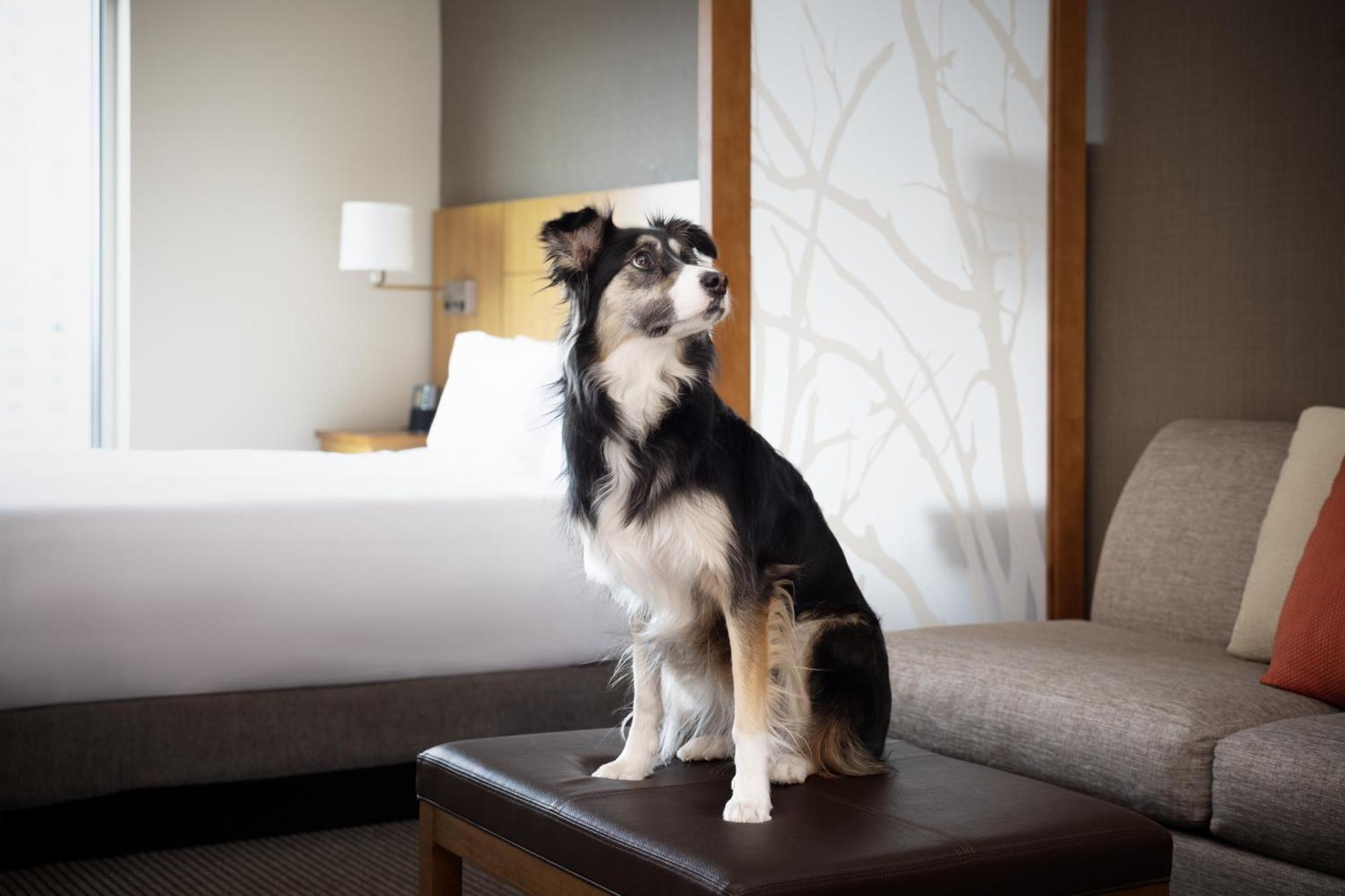 Hyatt Place Denver Downtown Экстерьер фото